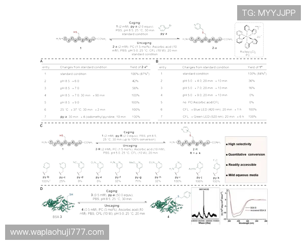 玩转凯发体育游戏：让你在娱乐中获利的最佳策略与经验总结